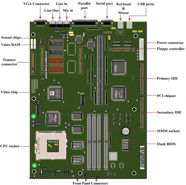 567 Mother Board Artwork