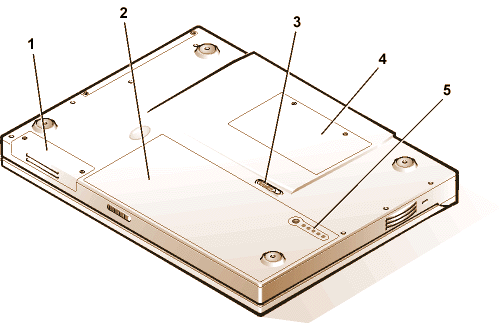 bottom.gif (24615 bytes)
